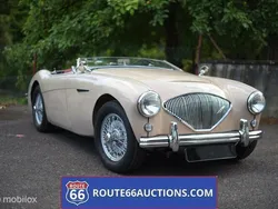Beige Gebruikt 1954 Austin Healey 100 Cabriolet | € 30.000