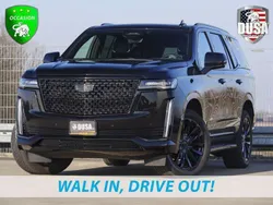 Zwart Gebruikt 2023 Cadillac Escalade SUV | € 174.950