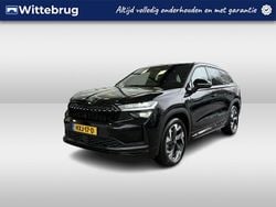 Zwart (metallic) Gebruikt 2025 Skoda Kodiaq Business Line SUV | € 49.950