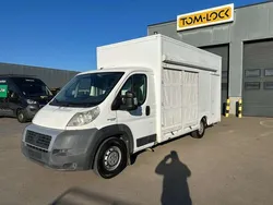 Wit Gebruikt 2011 Fiat Ducato Van | € 9.850 (Iets duurder)