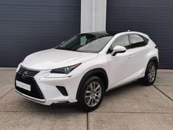 Wit Gebruikt 2019 Lexus NX300h Luxury Line SUV | € 24.999 (Goede deal)