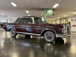 Rood Gebruikt 1967 Mercedes 250 Coupé | € 49.500