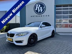 Wit Gebruikt 2014 BMW 220 Executive Coupé | € 13.999 (Duur)