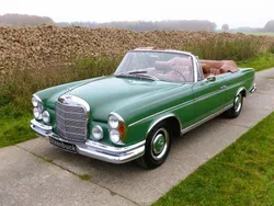Groentundragrün (mb 229) Gebruikt 1966 Mercedes 300 SE Cabriolet | € 169.000