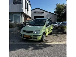Groen Gebruikt 2005 Fiat Panda Hatchback | € 995 (Eerlijke prijs)