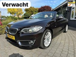 Bruin Gebruikt 2016 BMW 218 Executive Cabriolet | € 18.850 (Super prijs)