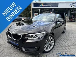 Bruin Gebruikt 2017 BMW 230 Executive Cabriolet | € 30.950