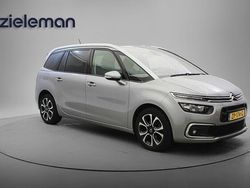 Grijs Gebruikt 2019 Citroën C4 Business Class MPV | € 13.845 (Iets duurder)