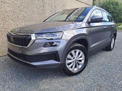 Grijs Gebruikt 2023 Skoda Karoq Ambition SUV | € 21.800 (Super prijs)