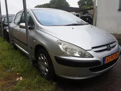 Grijs Gebruikt 2004 Peugeot 307 Hatchback | € 795 (Super prijs)