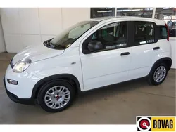 Wit Gebruikt 2023 Fiat Panda Hatchback | € 12.400 (Eerlijke prijs)