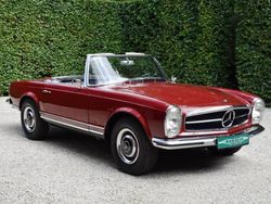 Rood Gebruikt 1964 Mercedes 230 Cabriolet | € 87.500