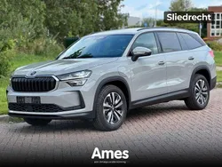Grijs Gebruikt 2025 Skoda Kodiaq Business Line SUV | € 49.995
