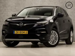 Blauw Gebruikt 2019 Opel Grandland X Innovation SUV | € 14.445 (Eerlijke prijs)