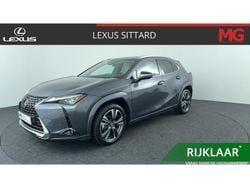Grijs Gebruikt 2023 Lexus UX Executive Line SUV | € 47.900