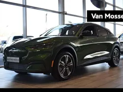Groen Nieuw 2025 Ford Mustang Mach-E SUV | € 48.590 (Iets duurder)