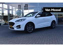 Wit Gebruikt 2023 Ford Kuga ST-Line SUV | € 29.845 (Eerlijke prijs)