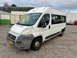Wit Gebruikt 2010 Fiat Ducato Van | € 7.950 (Iets duurder)