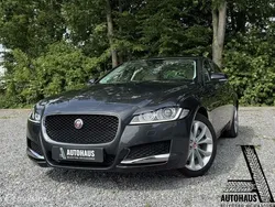 Grijs Gebruikt 2016 Jaguar XF Prestige Sedan | € 17.950 (Duur)