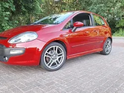 Paars Gebruikt 2010 Fiat Punto Hatchback | € 3.750 (Eerlijke prijs)