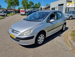 Grijs Gebruikt 2001 Peugeot 307 Hatchback | € 500 (Goede deal)