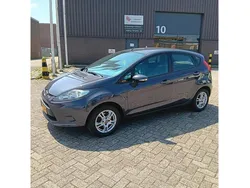 Grijs Gebruikt 2011 Ford Fiesta Trend Hatchback | € 3.999 (Goede deal)