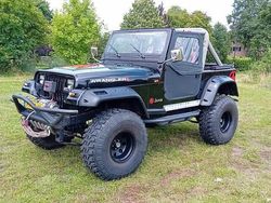 Overige Gebruikt 1993 Jeep Wrangler SUV | € 14.950