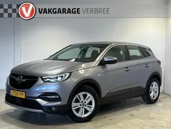 Grijs Gebruikt 2021 Opel Grandland X Business Elegance SUV | € 16.940 (Goede deal)