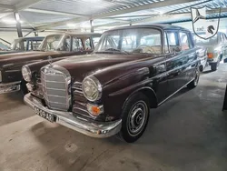 Rood Gebruikt 1966 Mercedes 200 Sedan | € 22.950