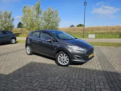 Hatchback Gebruikt 2015 Ford Fiesta Titanium Hatchback | € 9.950 (Iets duurder)