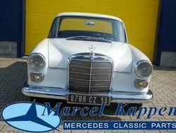 Wit Gebruikt 1966 Mercedes 230 Sedan | € 26.900