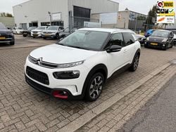 Wit, metallic lak Gebruikt 2020 Citroën C4 Cactus PureTech Hatchback | € 12.850 (Eerlijke prijs)