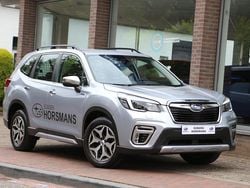 Grijs Gebruikt 2020 Subaru Forester Comfort SUV | € 33.950 (Goede deal)