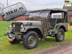 Groen Gebruikt 1960 Jeep Willys | € 13.950