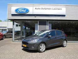 Grijs, metallic lak Gebruikt 2019 Ford Fiesta Trend Hatchback | € 11.440 (Eerlijke prijs)