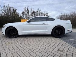 Wit Gebruikt 2017 Ford Mustang Coupé | € 25.000 (Super prijs)