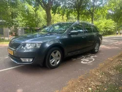 Grijs Gebruikt 2014 Skoda Octavia Business Line Stationwagen | € 4.500 (Goede deal)