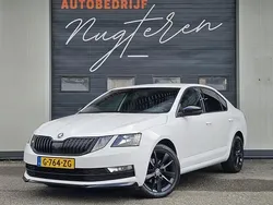 Wit Gebruikt 2020 Skoda Octavia Business Line Hatchback | € 12.650 (Eerlijke prijs)