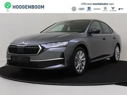 Grijs Nieuw 2025 Skoda Octavia First Edition Hatchback | € 38.450 (Eerlijke prijs)