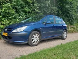 Blauw Gebruikt 2002 Peugeot 307 Hatchback | € 650 (Eerlijke prijs)
