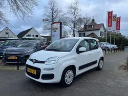 Wit Gebruikt 2013 Fiat Panda Hatchback | € 5.450 (Iets duurder)