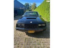 Wit Gebruikt 1979 Ford Mustang | € 8.950