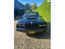 Wit Gebruikt 1979 Ford Mustang | € 8.950