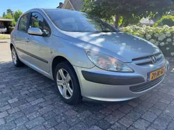 Grijs Gebruikt 2002 Peugeot 307 Hatchback | € 1.500 (Eerlijke prijs)
