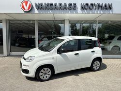 Wit Gebruikt 2016 Fiat Panda Pop Hatchback | € 4.850 (Eerlijke prijs)