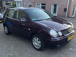 Paars Gebruikt 2003 VW Polo Highline Hatchback | € 1.100 (Goede deal)