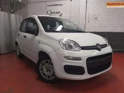 Wit Gebruikt 2016 Fiat Panda Hatchback | € 6.490