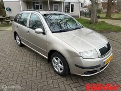 Beige Gebruikt 2005 Skoda Fabia Elegance Stationwagen | € 1.450 (Eerlijke prijs)