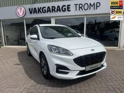 Wit Gebruikt 2020 Ford Kuga ST-Line SUV | € 23.290 (Eerlijke prijs)