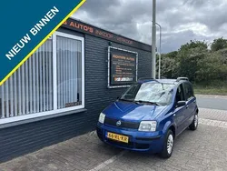 Blauw Gebruikt 2005 Fiat Panda Active Hatchback | € 1.250 (Eerlijke prijs)